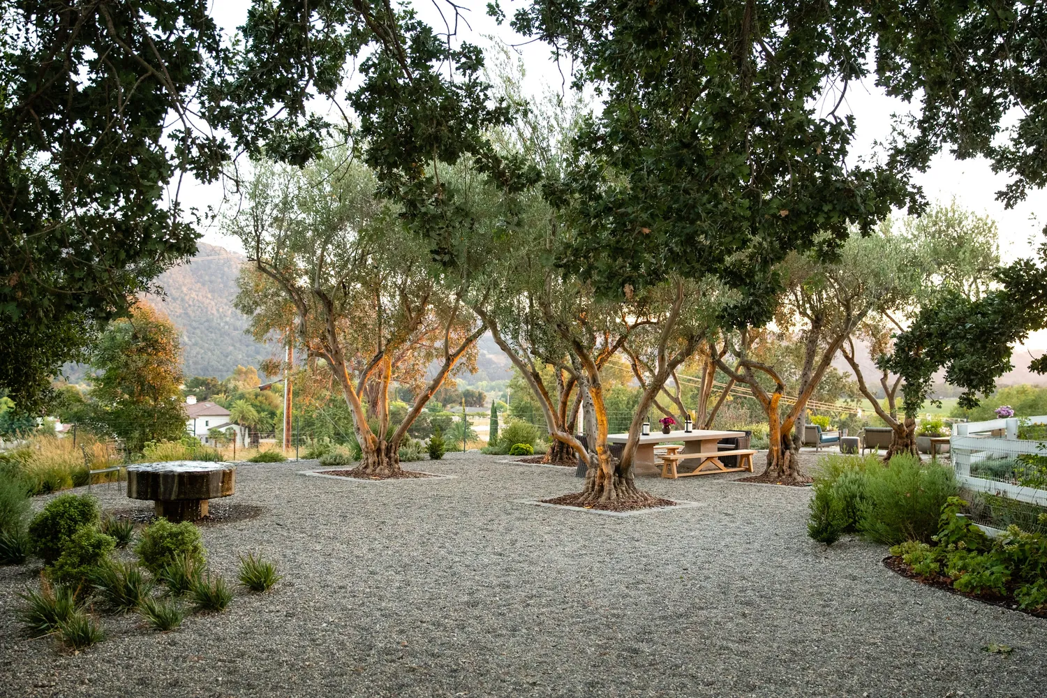 Gravel Pathway | AAA Landscaping Beautiful landscaped backyard with mature trees, gravel pathways, and a rustic outdoor seating area, offering a serene and natural outdoor retreat.